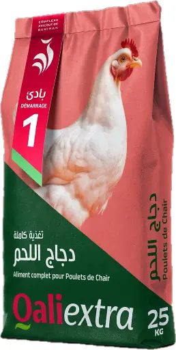 Qualifeed Extra - Demarrage